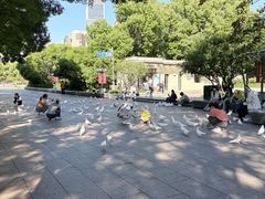 -人民公园-相亲角