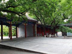 -中央音乐学院歌剧音乐厅