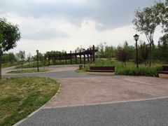 DSC08462-永定河休闲森林公园