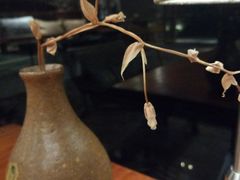 -远山有窑