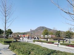 -牛首山文化旅游区