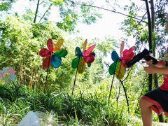 -桤木河湿地公园