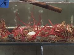 -红海湾豪记海鲜大排档