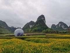-靖西鹅泉风景区