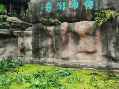 -深圳国际园林花卉博览园