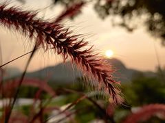 -白石龙音乐公园