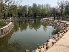 -绿岛公园(滨海新区)
