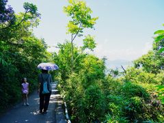 -香港大学