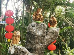 -广州长隆飞鸟乐园