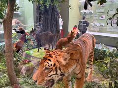 -国家自然博物馆