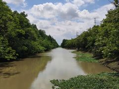 -上海海湾国家森林公园