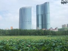 -艾溪湖湿地公园