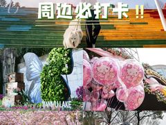 -上海鲜花港