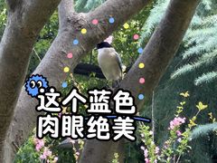 -月湖风景区