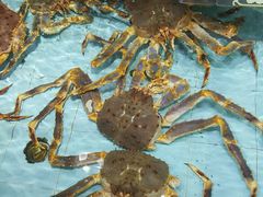 -渔民新村(番禺总店)