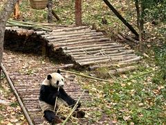 -黔灵山公园
