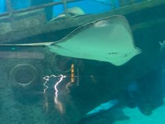 -福州罗源湾海洋世界旅游区