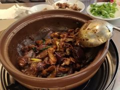 -胡须佬鸡煲四季火锅店(石厦西村直营店)
