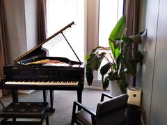 -Melody Mentor音乐私教馆(朝外·悠唐店)