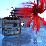 河西走廊之行，武威，是必去城市之一