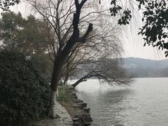 -西湖外事游船(花港观鱼码头)