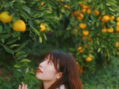 -前小桔亲子创意农场·草莓采摘·露营烧烤