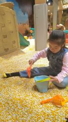 -卡通尼·Safari非洲探索乐园·生日会(金桥国际商业广场店)