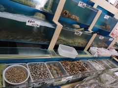 -胶东海鲜大排档(北太平庄店)