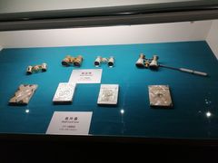 -青岛贝壳博物馆