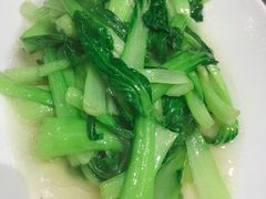 鸡毛菜-金龙·打边炉(武进路店)