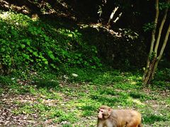 -武当山风景区