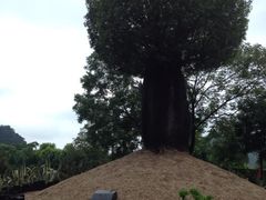 iphone_upload_pic-Club Med地中海俱乐部·桂林度假村