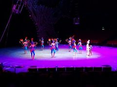 大马戏-珠海横琴长隆《卡卡虎奇遇记》