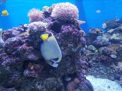 -成都浩海立方海洋公园