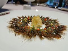 -子福慧(虹桥店)