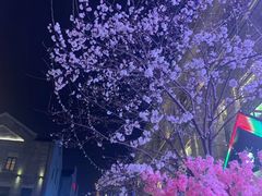 -万达瑞华酒店美食汇自助餐厅(楚河汉街店)