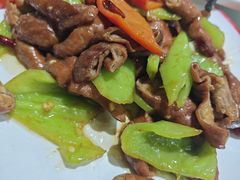尖椒肥肠-逢春菜馆天津菜(胜利路店)
