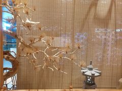 -越光米贩精致料理餐厅(金鹰店)