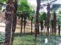 -徐家汇源景区-衡山公园