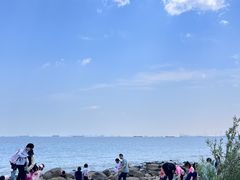 -吴淞炮台湾湿地森林公园烧烤区