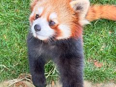 -常州淹城野生动物世界