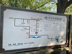-洛阳白马寺