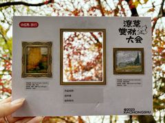 -上海共青森林公园