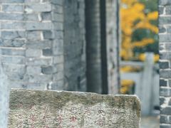 -上海佘山国家森林公园天马山园