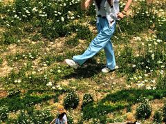 -汉长安城未央宫国家考古遗址公园