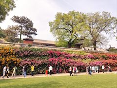 -红螺寺
