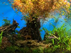 -太平洋海底世界