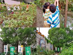 -上海佘山茂御臻品之选酒店(原佘山艾美酒店)
