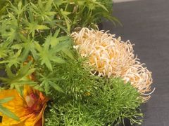 -丰收日(五角场店)