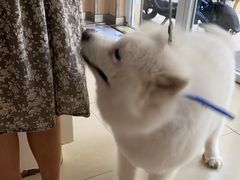 -宠福鑫康馨动物医院·骨科·眼科